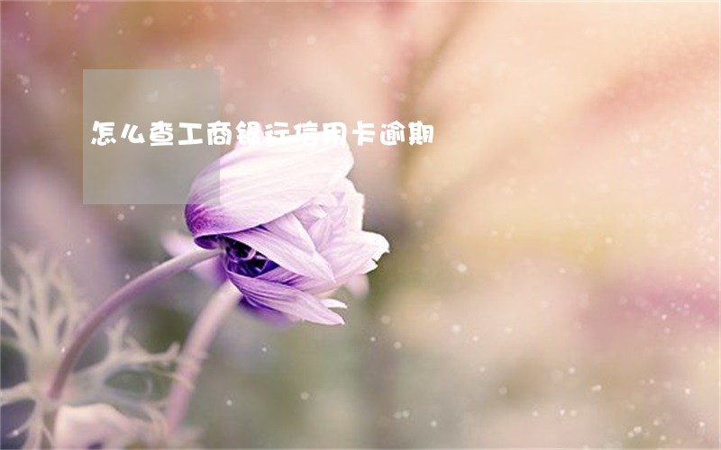 怎么查工商银行信用卡逾期