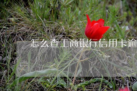 怎么查工商银行信用卡逾期总数 怎么查工商银行信用卡逾期总数