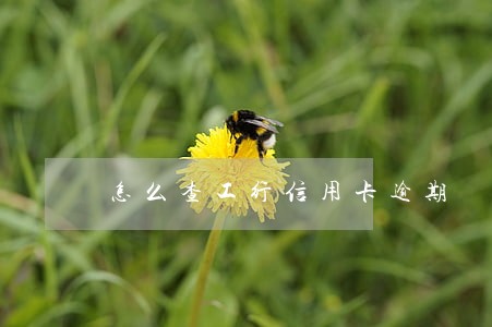 怎么查工行信用卡逾期