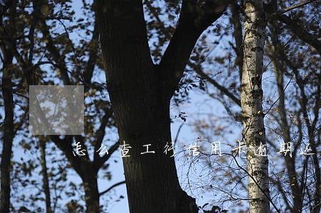 怎么查工行信用卡逾期还款 怎么查工行信用卡逾期还款