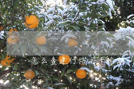 怎么查建行信用卡逾期 怎么查建行信用卡逾期
