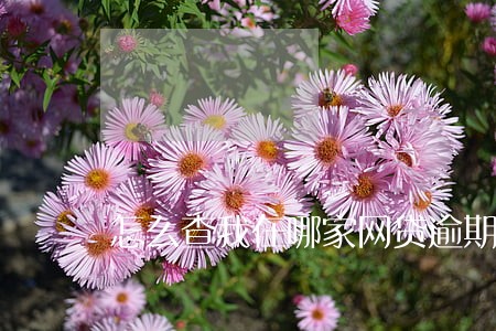 怎么查我在哪家网贷逾期 怎么查我在哪家网贷逾期