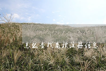怎么查找商标注册信息 怎么查找商标注册信息