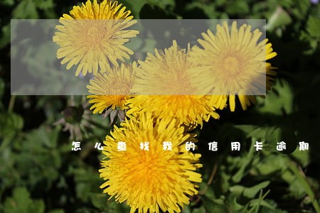 怎么查找我的信用卡逾期呢 怎么查找我的信用卡逾期呢