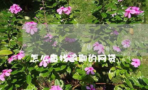 怎么查找逾期的网贷 怎么查找逾期的网贷