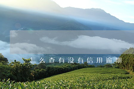 怎么查有没有信用逾期 怎么查有没有信用逾期