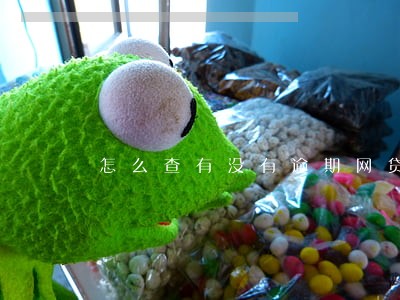 怎么查有没有逾期网贷 怎么查有没有逾期网贷