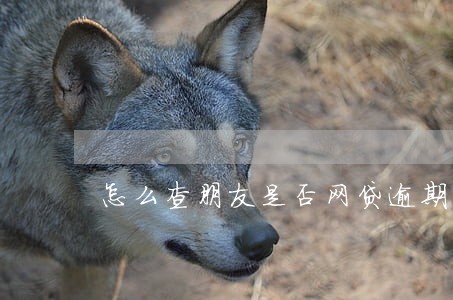 怎么查朋友是否网贷逾期 怎么查朋友是否网贷逾期
