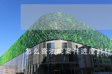 怎么查法院案件进度打什么电话
