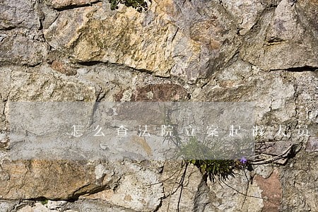 怎么查法院立案起诉人员 怎么查法院立案起诉人员