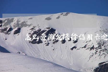怎么查浦发银行信用卡逾期 怎么查浦发银行信用卡逾期