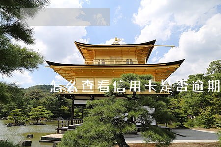怎么查看信用卡是否逾期上征信了 怎么查看信用卡是否逾期上征信了