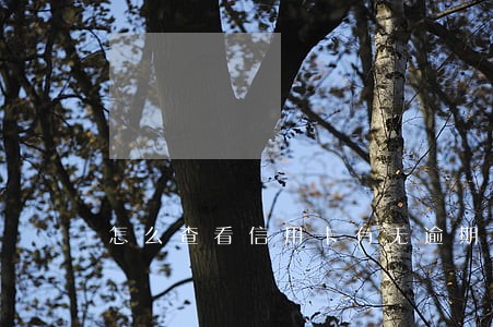 怎么查看信用卡有无逾期 怎么查看信用卡有无逾期