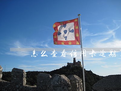 怎么查看信用卡逾期了多少天 怎么查看信用卡逾期了多少天