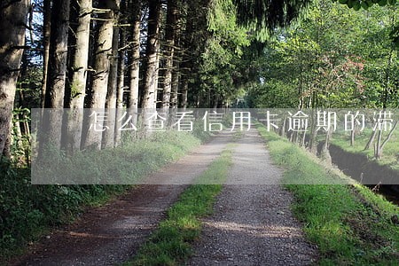怎么查看信用卡逾期的滞纳金 怎么查看信用卡逾期的滞纳金
