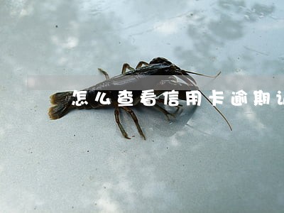 怎么查看信用卡逾期记录日期 怎么查看信用卡逾期记录日期