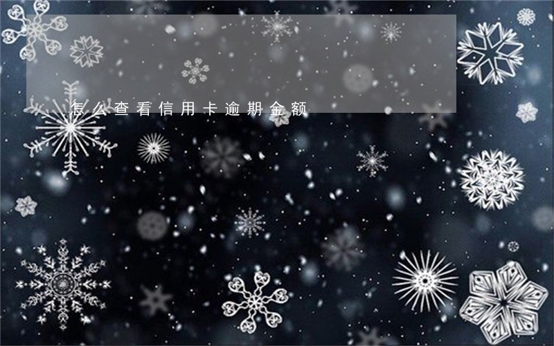 怎么查看信用卡逾期金额 怎么查看信用卡逾期金额