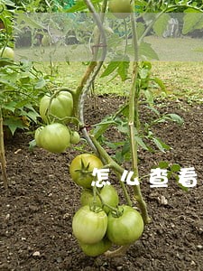 怎么查看工行信用卡是否逾期 怎么查看工行信用卡是否逾期