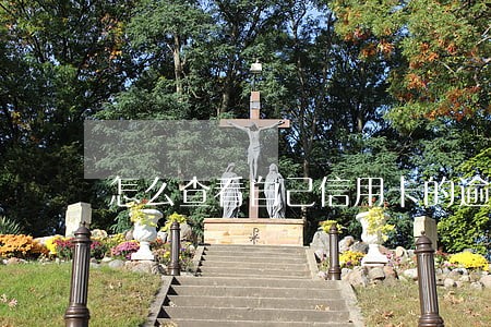 怎么查看自己信用卡的逾期记录