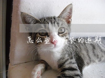 怎么查网商贷的逾期 怎么查网商贷的逾期