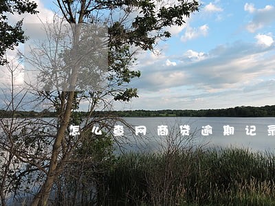 怎么查网商贷逾期记录 怎么查网商贷逾期记录