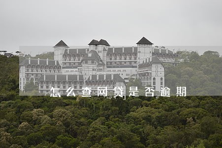 怎么查网贷是否逾期 怎么查网贷是否逾期