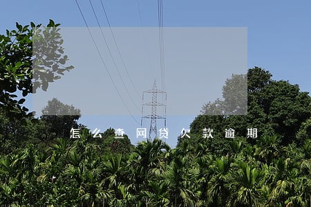怎么查网贷欠款逾期 怎么查网贷欠款逾期