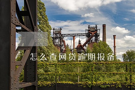 怎么查网贷逾期报备