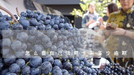 怎么查自己信用卡有多少逾期