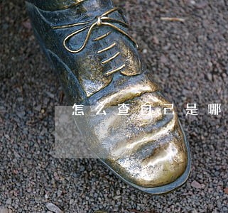 怎么查自己是哪张信用卡逾期 怎么查自己是哪张信用卡逾期