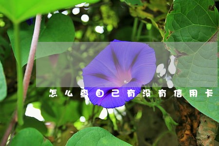 怎么查自己有没有信用卡逾期 怎么查自己有没有信用卡逾期