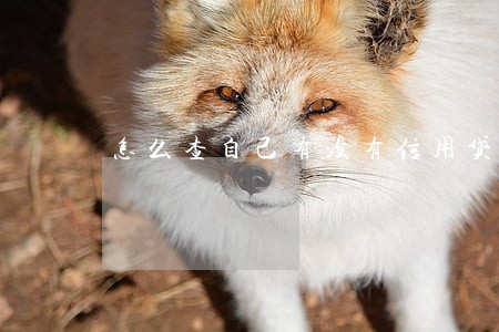 怎么查自己有没有信用贷款逾期 怎么查自己有没有信用贷款逾期