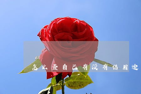 怎么查自己有没有信用逾期 怎么查自己有没有信用逾期