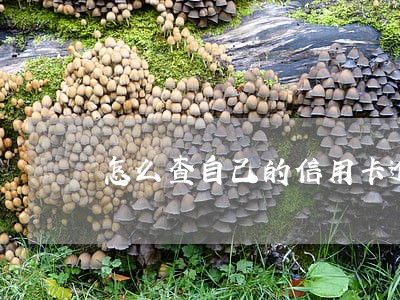 怎么查自己的信用卡逾期没 怎么查自己的信用卡逾期没