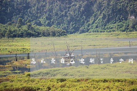 怎么查自己逾期了多少网贷 怎么查自己逾期了多少网贷
