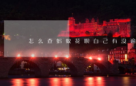 怎么查蚂蚁花呗自己有没逾期过