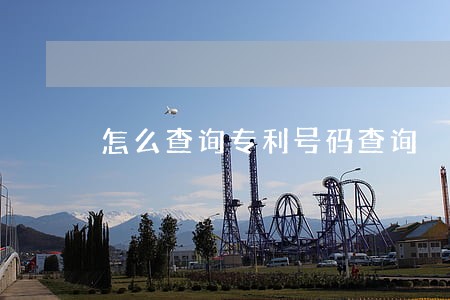 怎么查询专利号码查询 怎么查询专利号码查询
