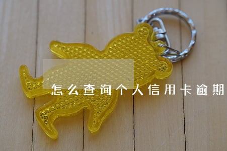 怎么查询个人信用卡逾期