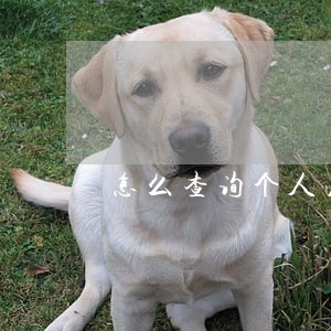 怎么查询个人法院立案 怎么查询个人法院立案