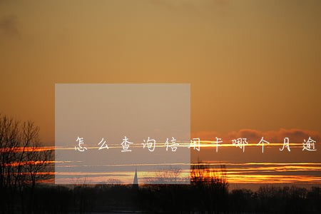 怎么查询信用卡哪个月逾期 怎么查询信用卡哪个月逾期