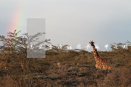 怎么查询信用卡账单逾期没 怎么查询信用卡账单逾期没