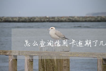 怎么查询信用卡逾期了几次 怎么查询信用卡逾期了几次