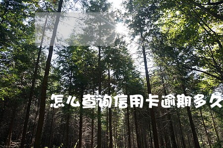 怎么查询信用卡逾期多久 怎么查询信用卡逾期多久