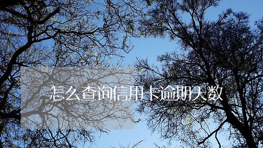 怎么查询信用卡逾期天数 怎么查询信用卡逾期天数