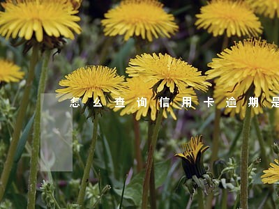 怎么查询信用卡逾期是否上征信了 怎么查询信用卡逾期是否上征信了