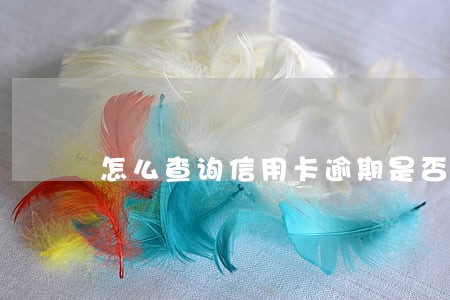 怎么查询信用卡逾期是否报案