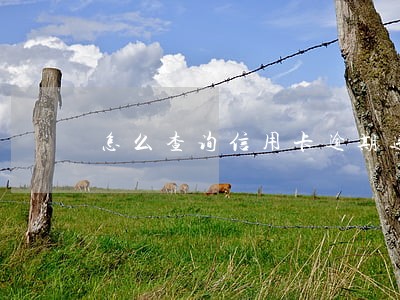 怎么查询信用卡逾期违约金 怎么查询信用卡逾期违约金