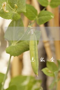 怎么查询信用有没有逾期过
