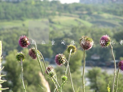 怎么查询信用逾期记录查询 怎么查询信用逾期记录查询