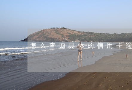 怎么查询具体的信用卡逾期时间 怎么查询具体的信用卡逾期时间